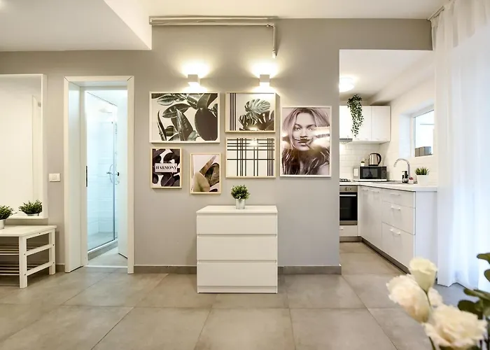 Spacious 1br In The Center - Amazing For Extended Apartament *